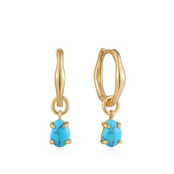Ania Haie Earrings E044-05G