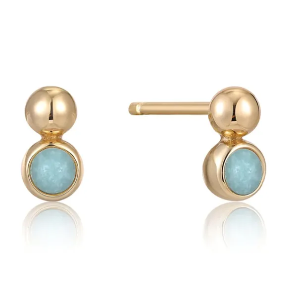 Ania Haie Earrings E045-01G-AM