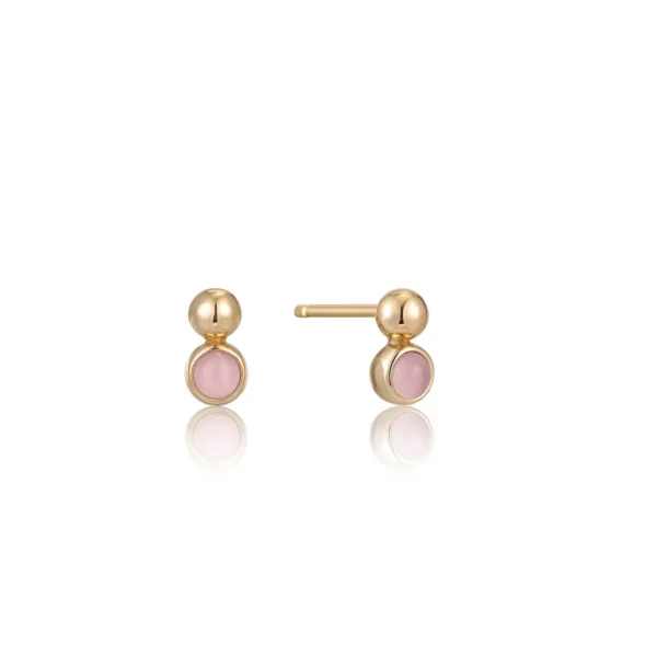 Ania Haie Earrings E045-01G-RQ