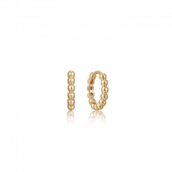 Ania Haie Earrings E045-03G