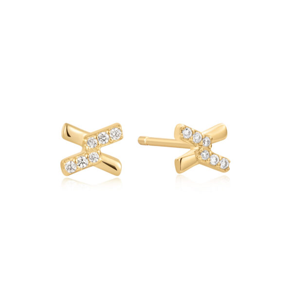 Ania Haie Earrings E061-01G