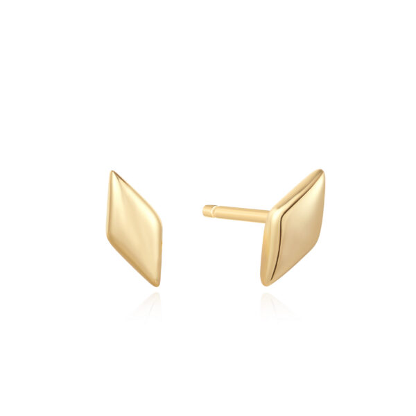 Ania Haie Earrings E061-02G