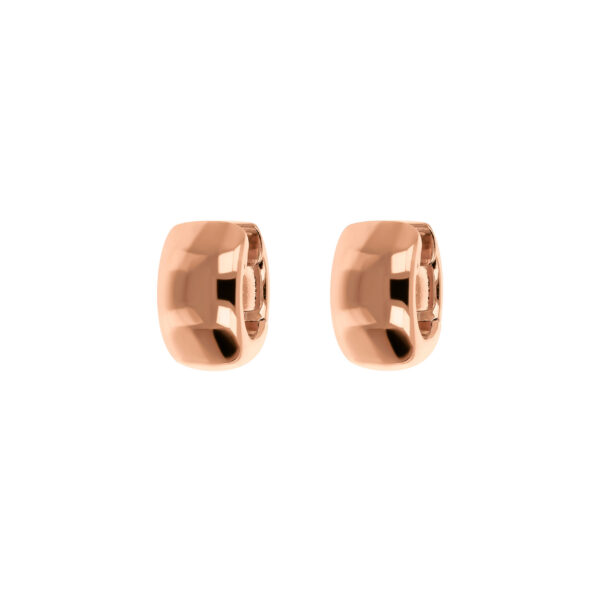 Bronzallure Earrings