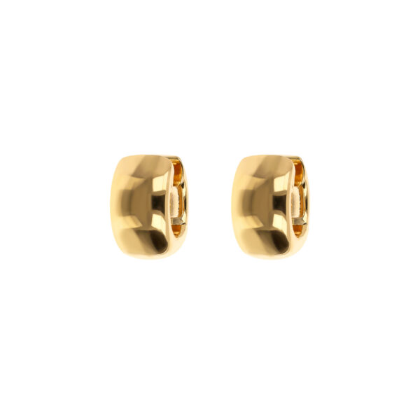 Bronzallure Earrings