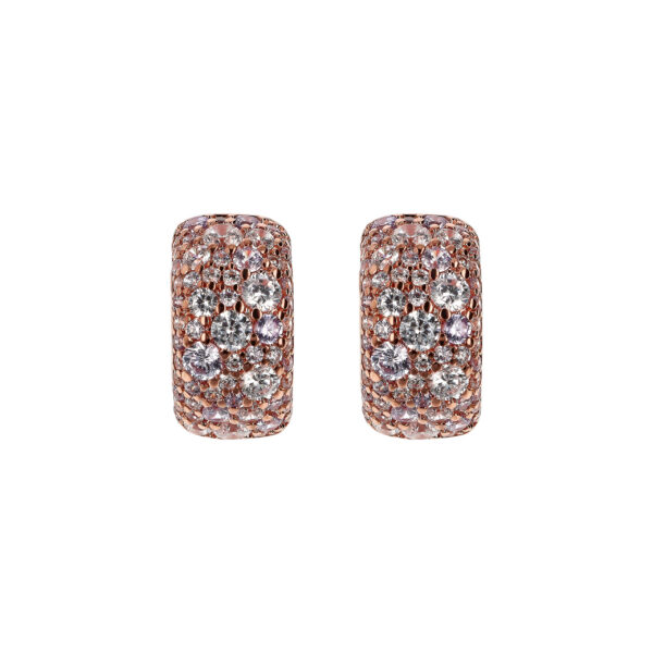 Bronzallure Earrings