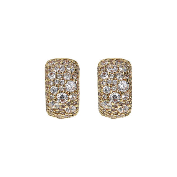 Bronzallure Earrings