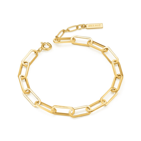 Ania Haie Bracelet B062-04G