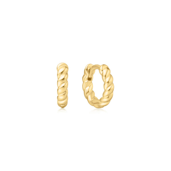 Ania Haie Earring E063-03G