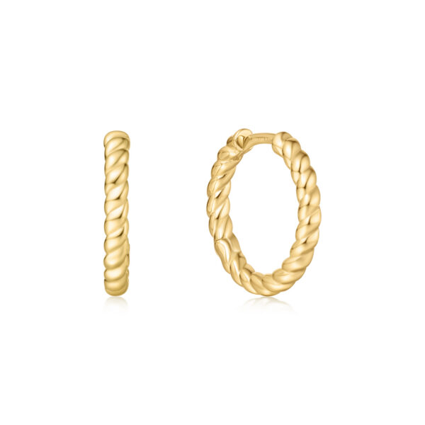Ania Haie Earring E063-05G