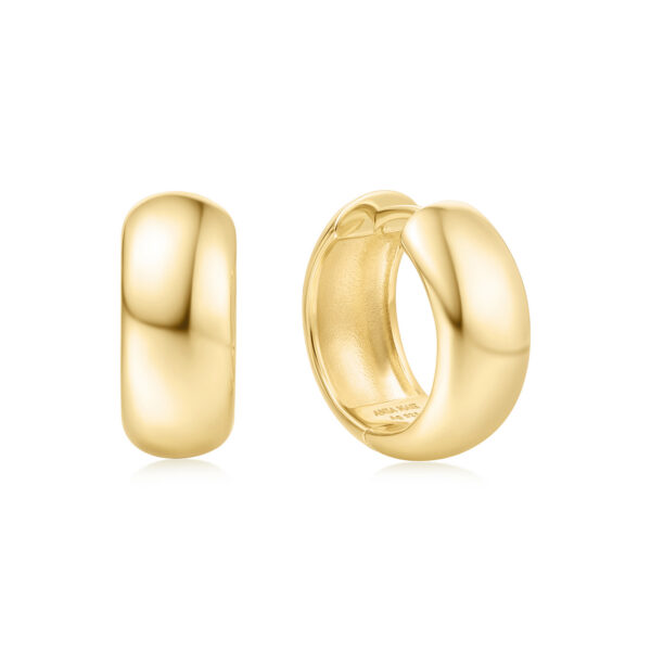 Ania Haie Earring E064-06G