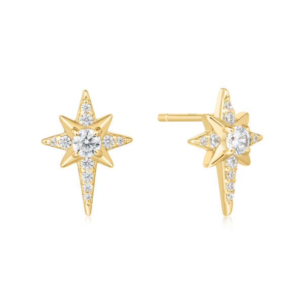 Ania Haie Earring E065-02G