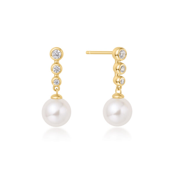 Ania Haie Earring E065-03G