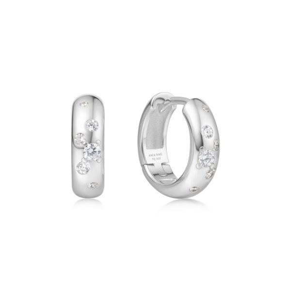Ania Haie Earring E065-04H
