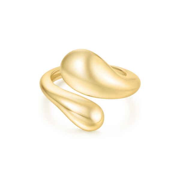 Ania Haie Ring R062-03G