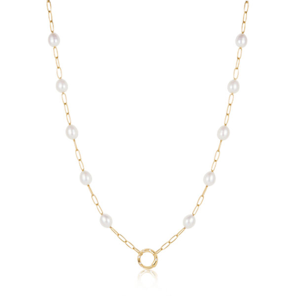 Ania Haie Necklace N055-03G