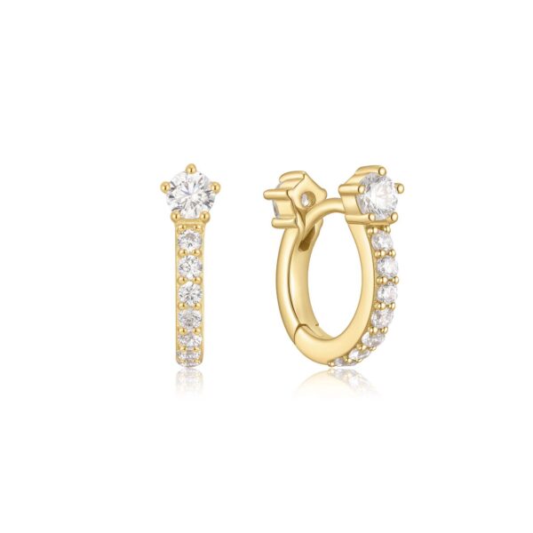 Ania Haie Earrings E066-04G