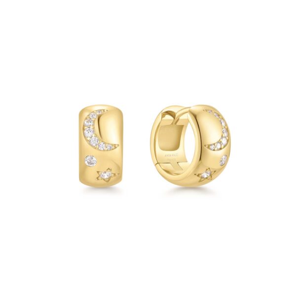 Ania Haie Earrings E066-09G