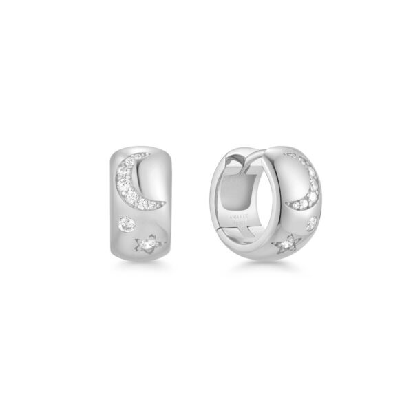 Ania Haie Earrings E066-09H