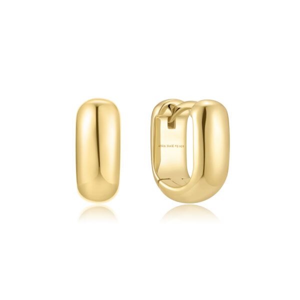Ania Haie Earrings E067-08G