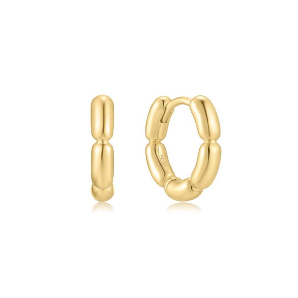 Ania Haie Earrings E069-02G
