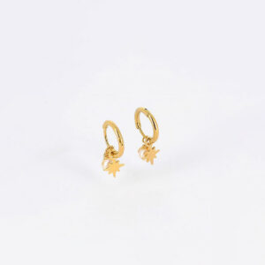 ZAG Earrings SEC10950-01SEL