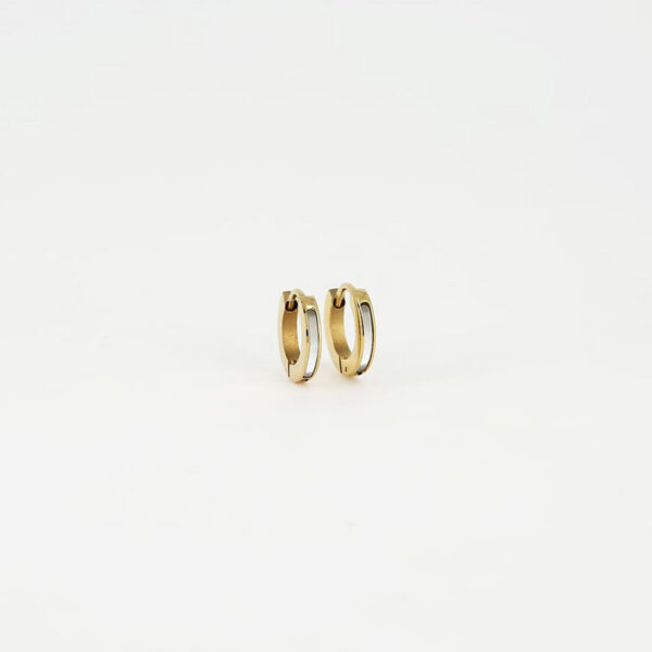 ZAG Earrings SEC14657-01SEL