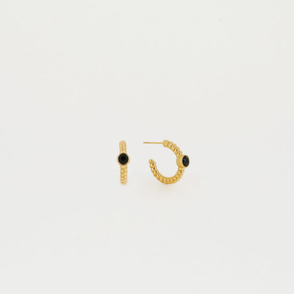 ZAG Earrings SEC15331-01BLK