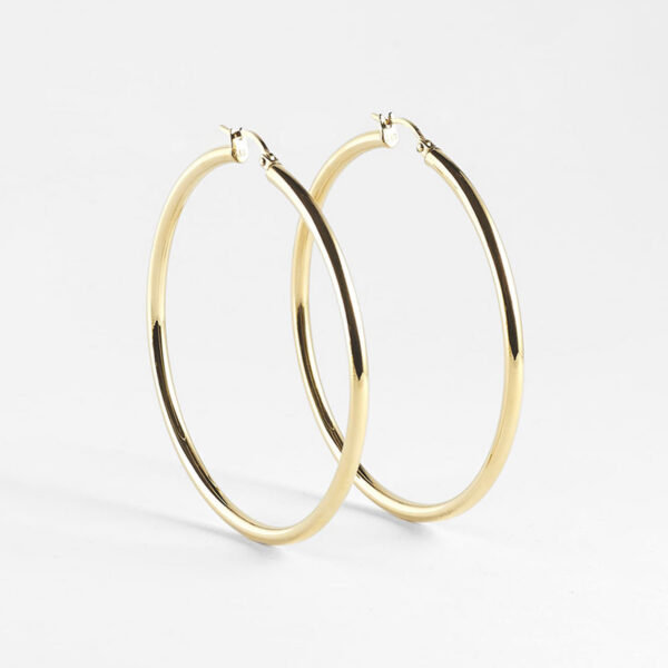 ZAG Earrings SEC21277-01UNI3X60
