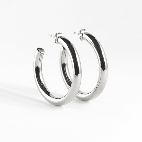 ZAG Earrings SEC21313-00UNI5X40