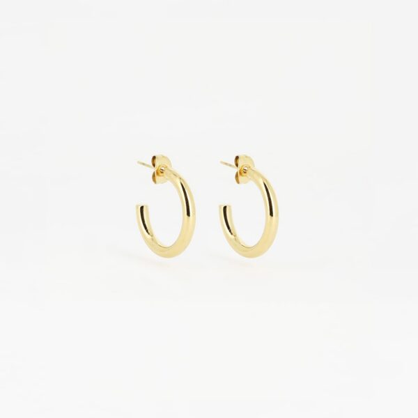 ZAG Earrings SEC21313-01UNI3X20