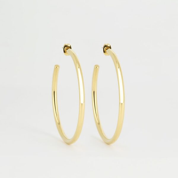 ZAG Earrings SEC21313-01UNI3X50