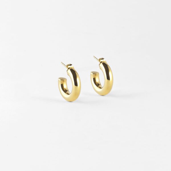 ZAG Earrings SEC21313-01UNI5X20