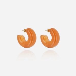 ZAG Earrings SEC25595-01BRW