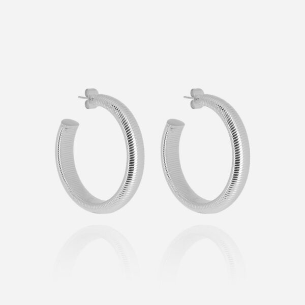 ZAG Earrings SEC25666-00UNI