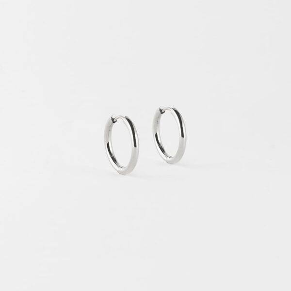 ZAG Earrings SEC5879-00UNI