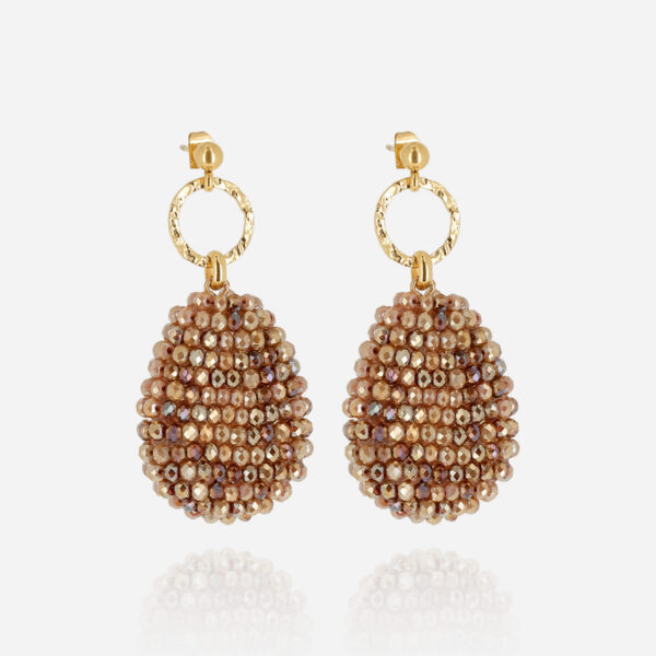 ZAG Earrings SEL27102-01BRW