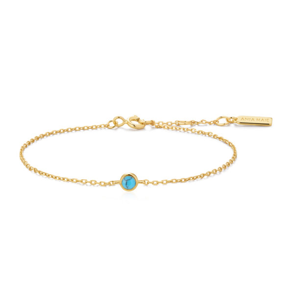 Ania Haie Bracelet B073-01G