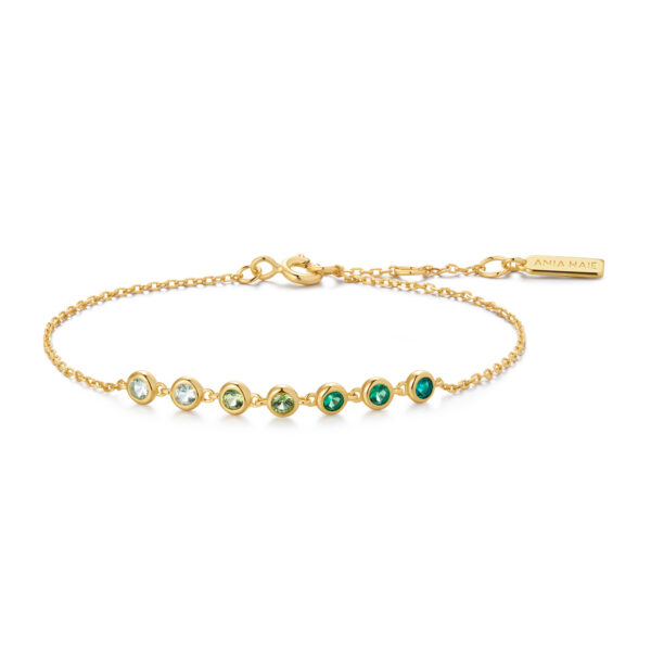 Ania Haie Bracelet B073-04G