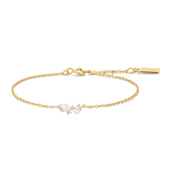 Ania Haie Bracelet B074-03G