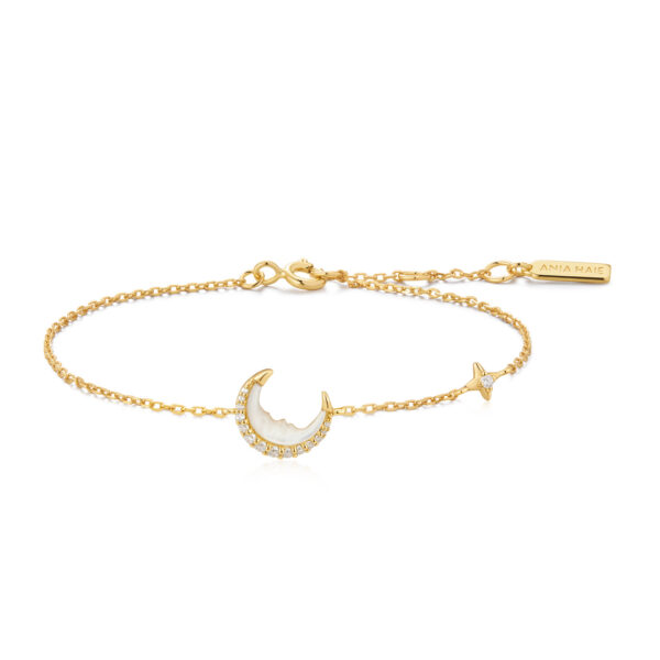 Ania Haie Bracelet B075-05G