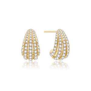 Ania Haie Earrings E072-08G