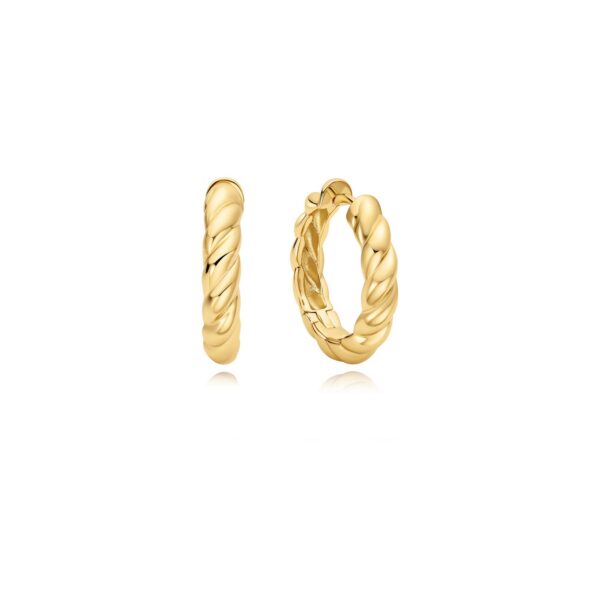 Ania Haie Earrings E072-09G