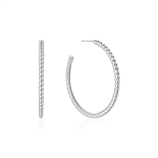 Ania Haie Earrings E072-10H