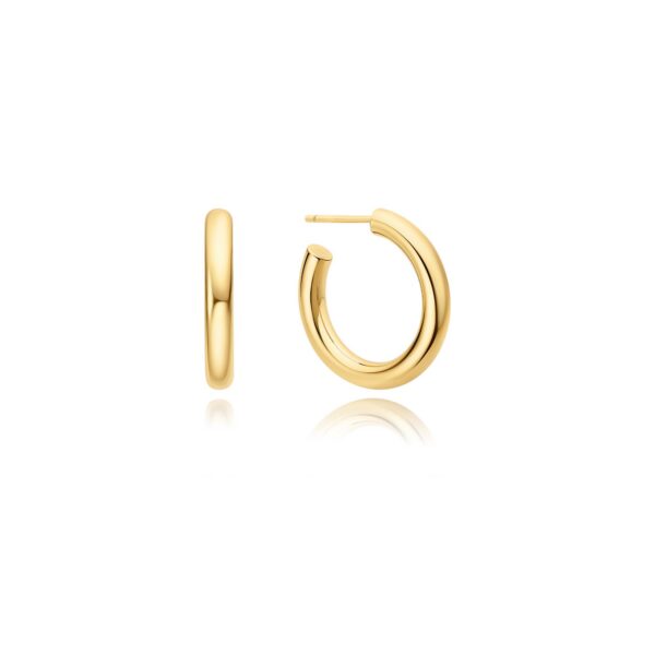 Ania Haie Earrings E072-11G