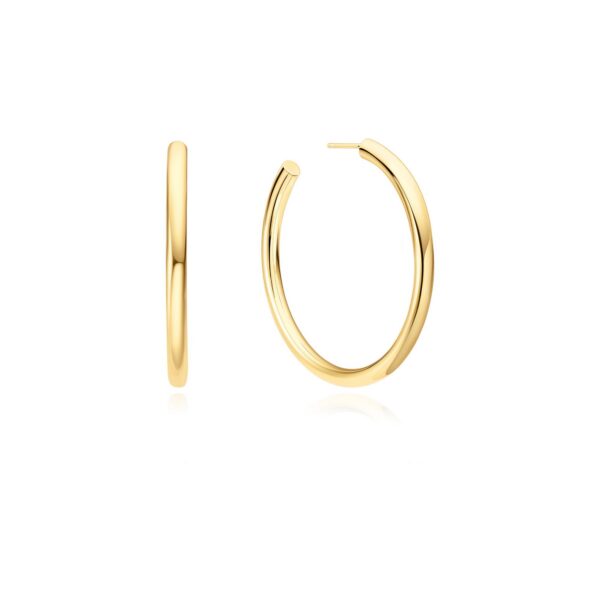 Ania Haie Earrings E072-13G
