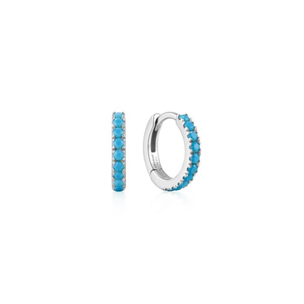 Ania Haie Earrings E073-03H