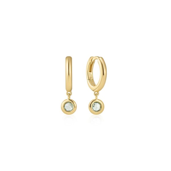 Ania Haie Earrings E073-04G