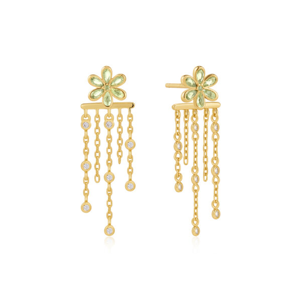 Ania Haie Earrings E073-05G