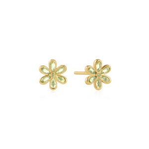 Ania Haie Earrings E073-06G