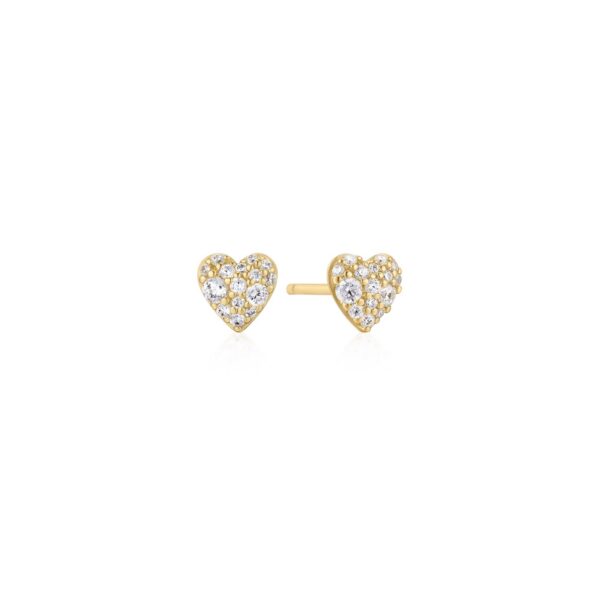 Ania Haie Earrings E074-01G